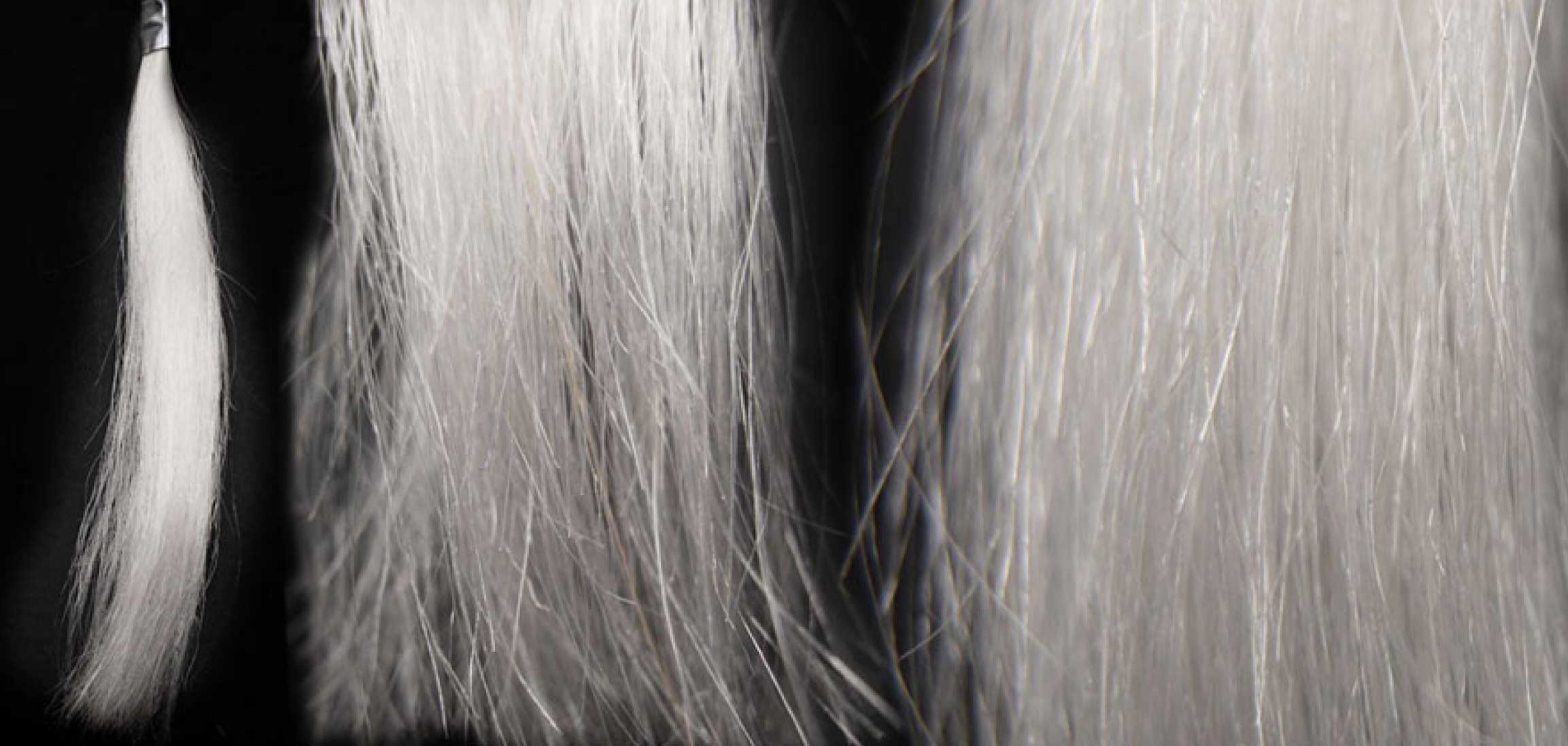 human grey hair