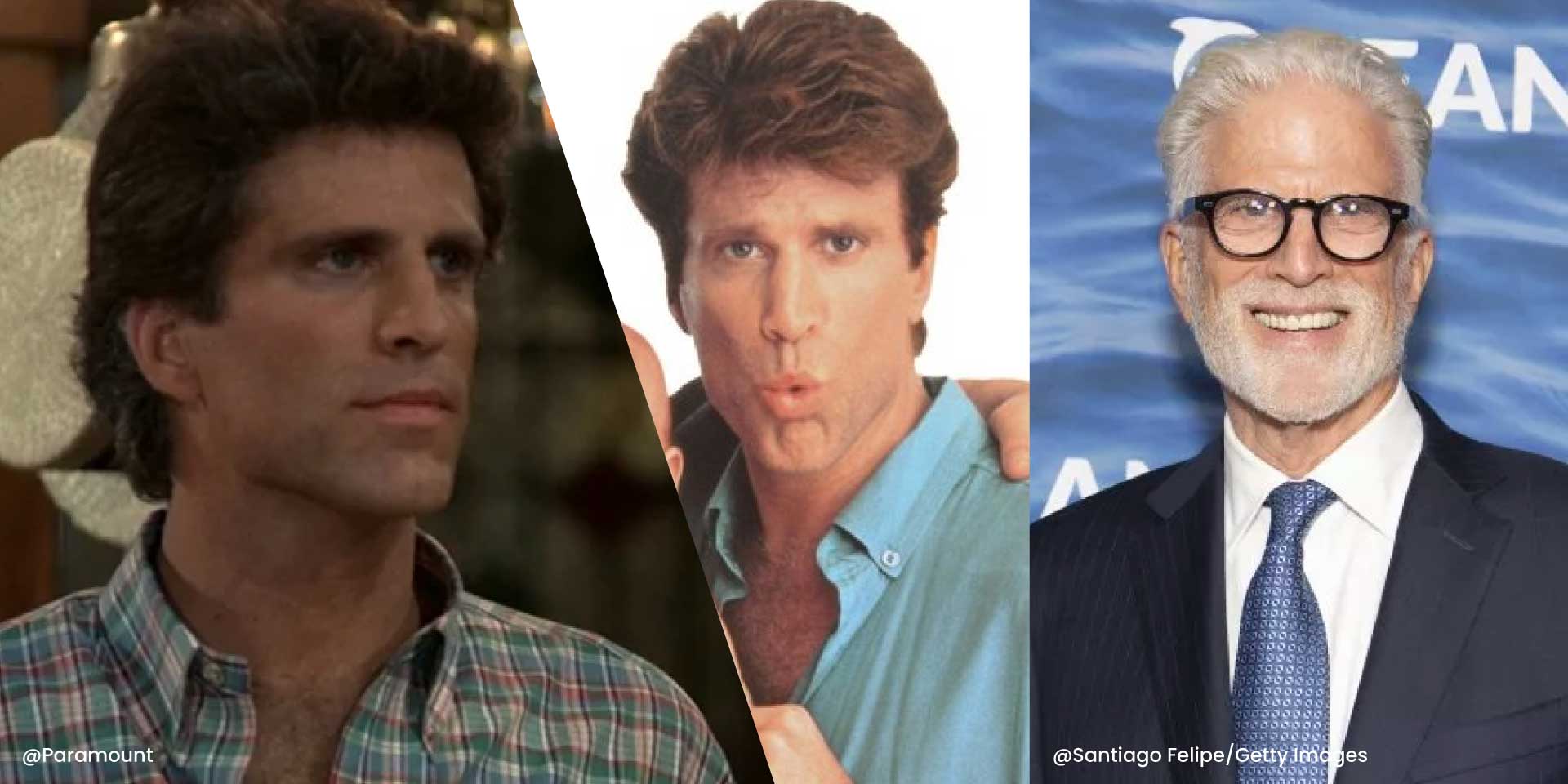 ted danson hairpice