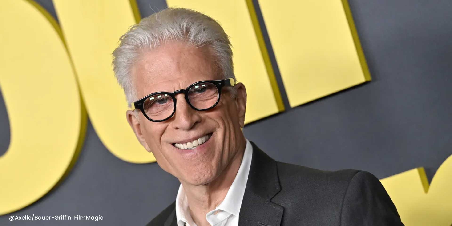 Ted Danson hairsystem