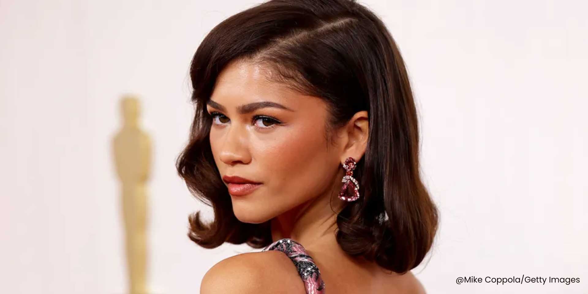 Zendaya's Chocolate Brown hair wig